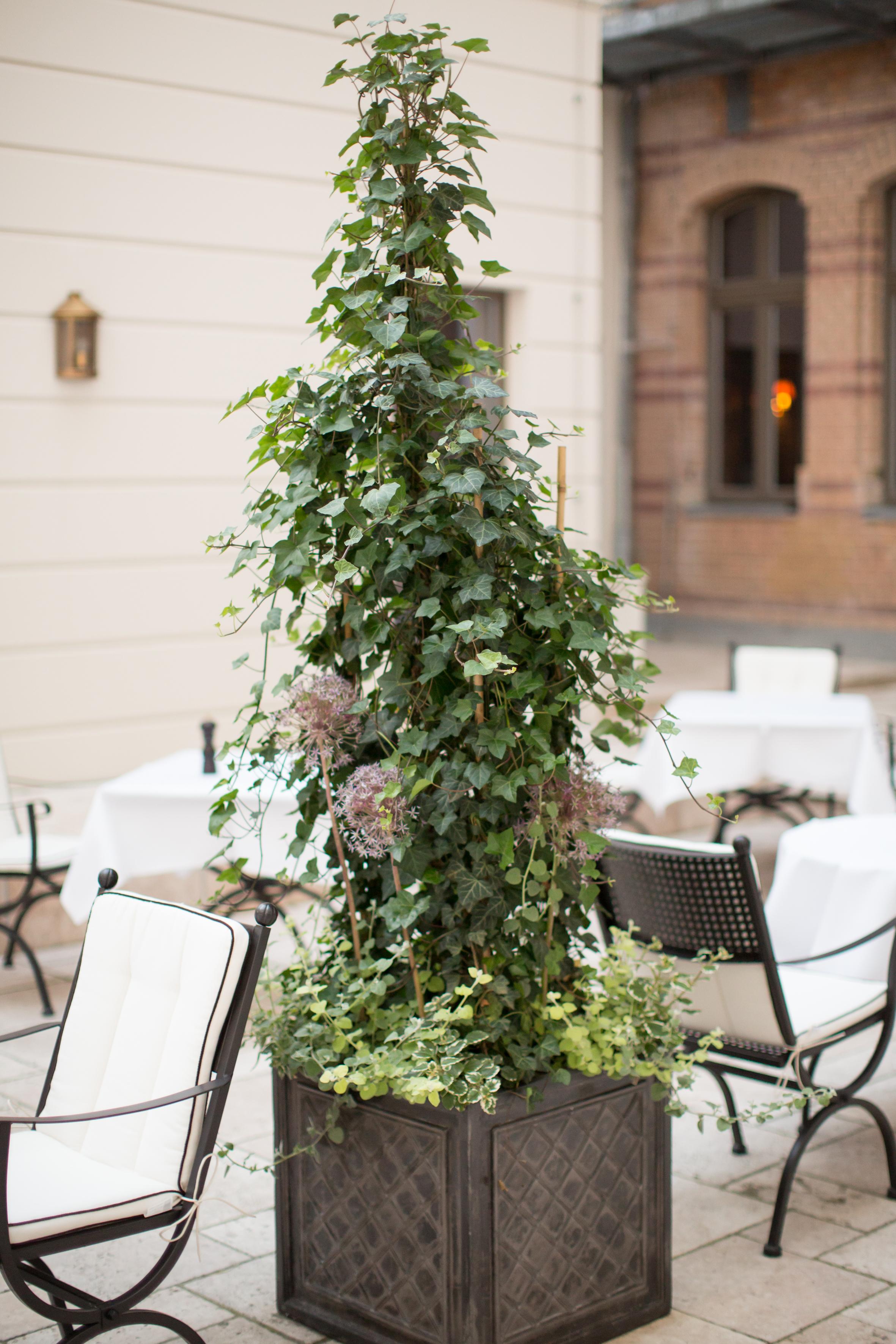 Hotel Monbijou Berlim